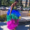 Countrygeh Multi Color Long Tulle Skirt